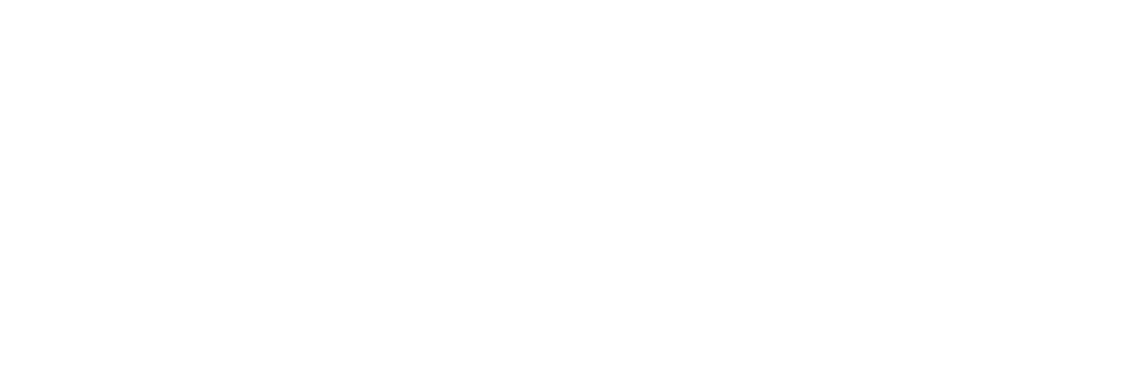 Intelligence Senior
